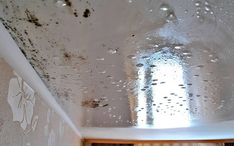 Оценка ущерба в квартире при протечке крыши